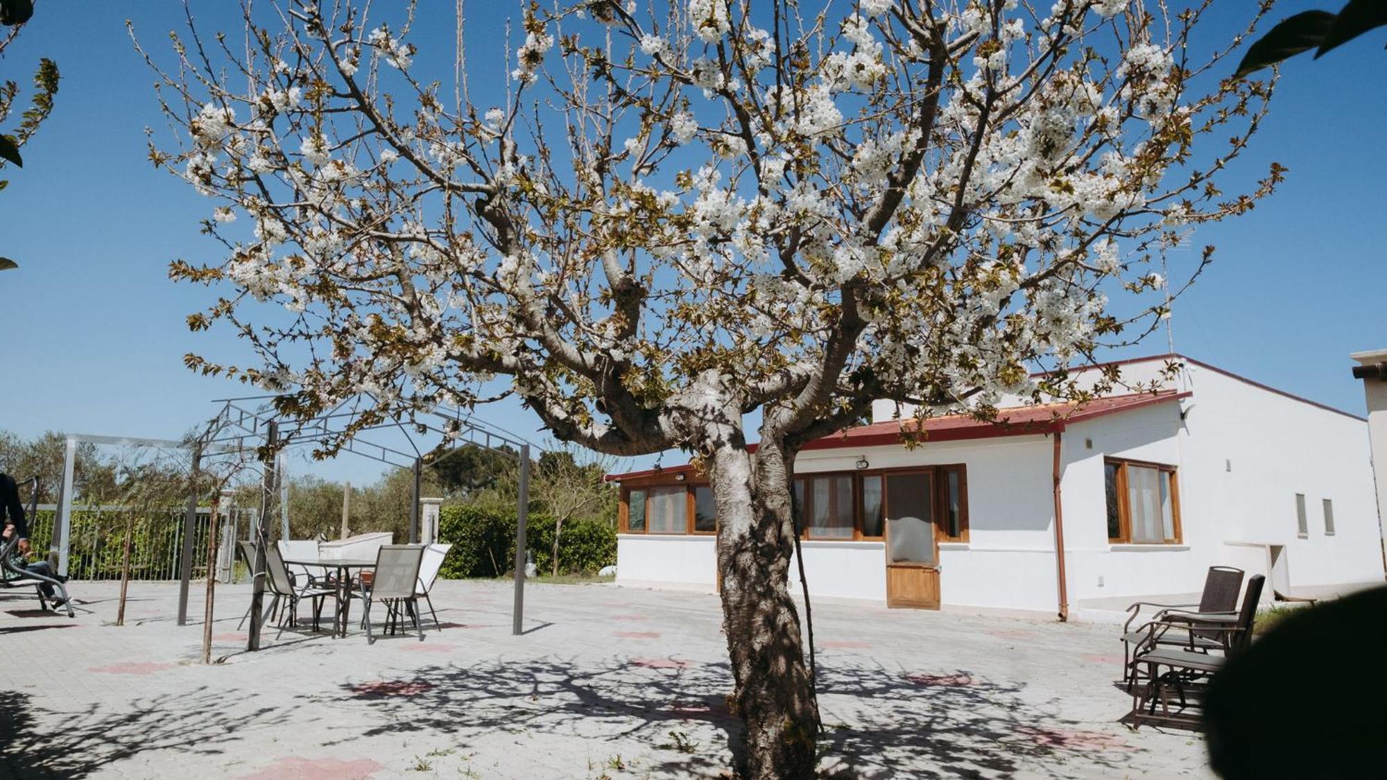 Belvedere House Country Mottola Exterior foto